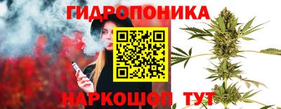 дмт Абинск