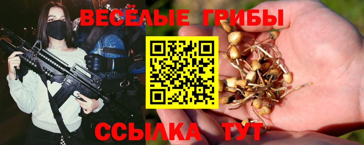 Галлюциногенные грибы Psilocybine cubensis  Галлюциногенные грибы MAGIC MUSHROOMS  Вход с VPN  Анжеро-Судженск 